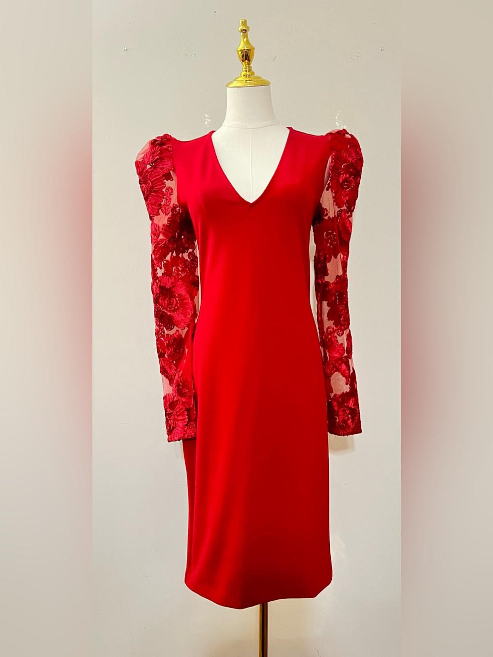 Express Red V-Neck Long Sleeve Floral Lace Sleeve Dress